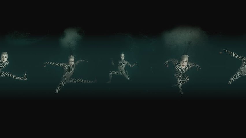 Cirque du Soleil