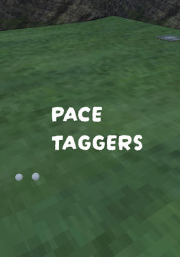 Pace Taggers