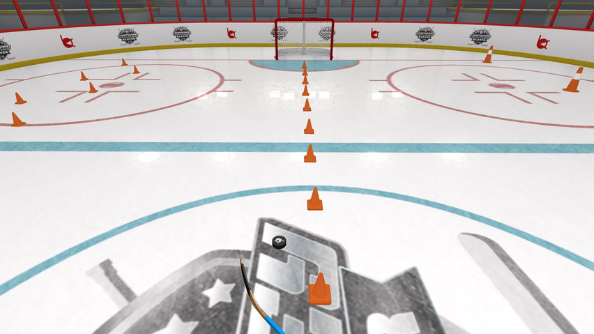Hockey Player VR