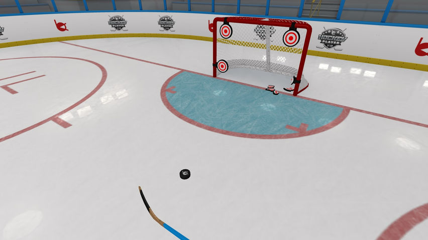 Hockey Player VR