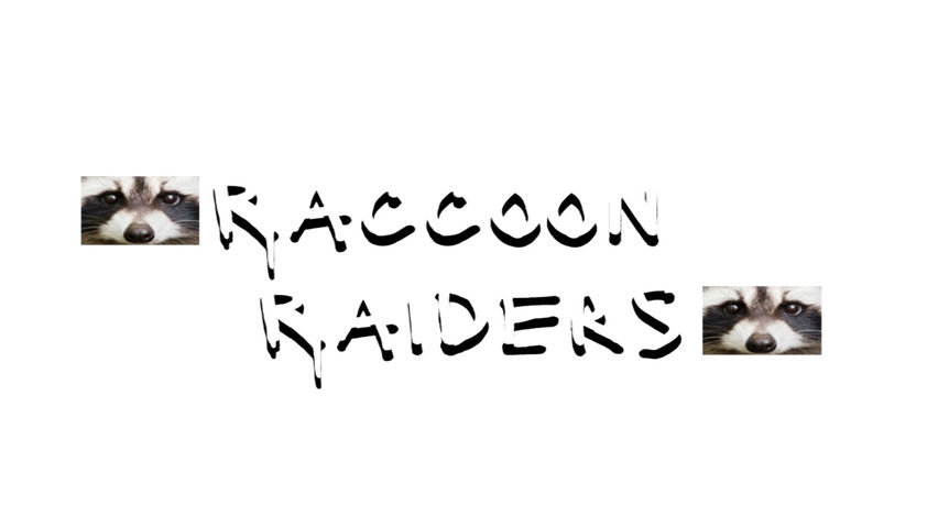 Raccoon Raiders
