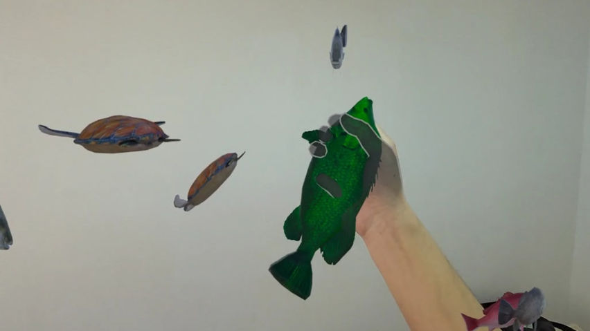 MR Fish