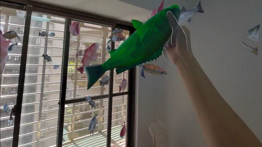 MR Fish