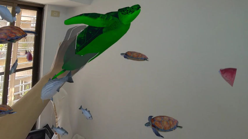 MR Fish