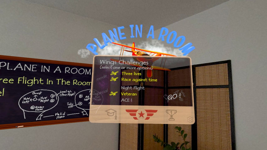 Plane In A Room