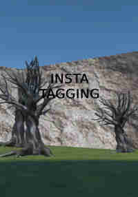 Insta Tagging