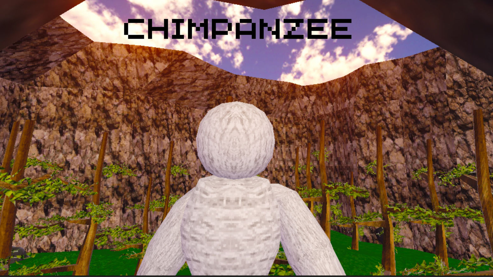 CHIMPANZEE
