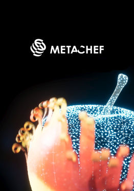MetaChefVR