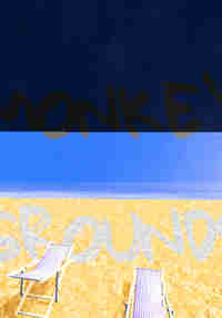 (OLD) Monkey Grounds (OLD)