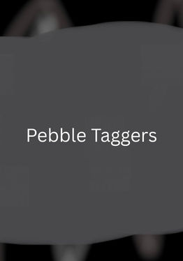 Pebble Taggers