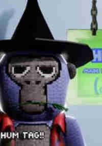 Hum Tag v1