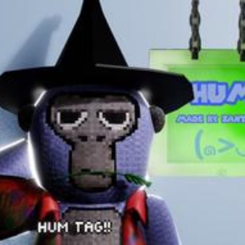 Hum Tag v1