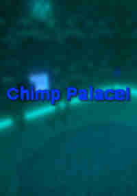 Chimp Palace!