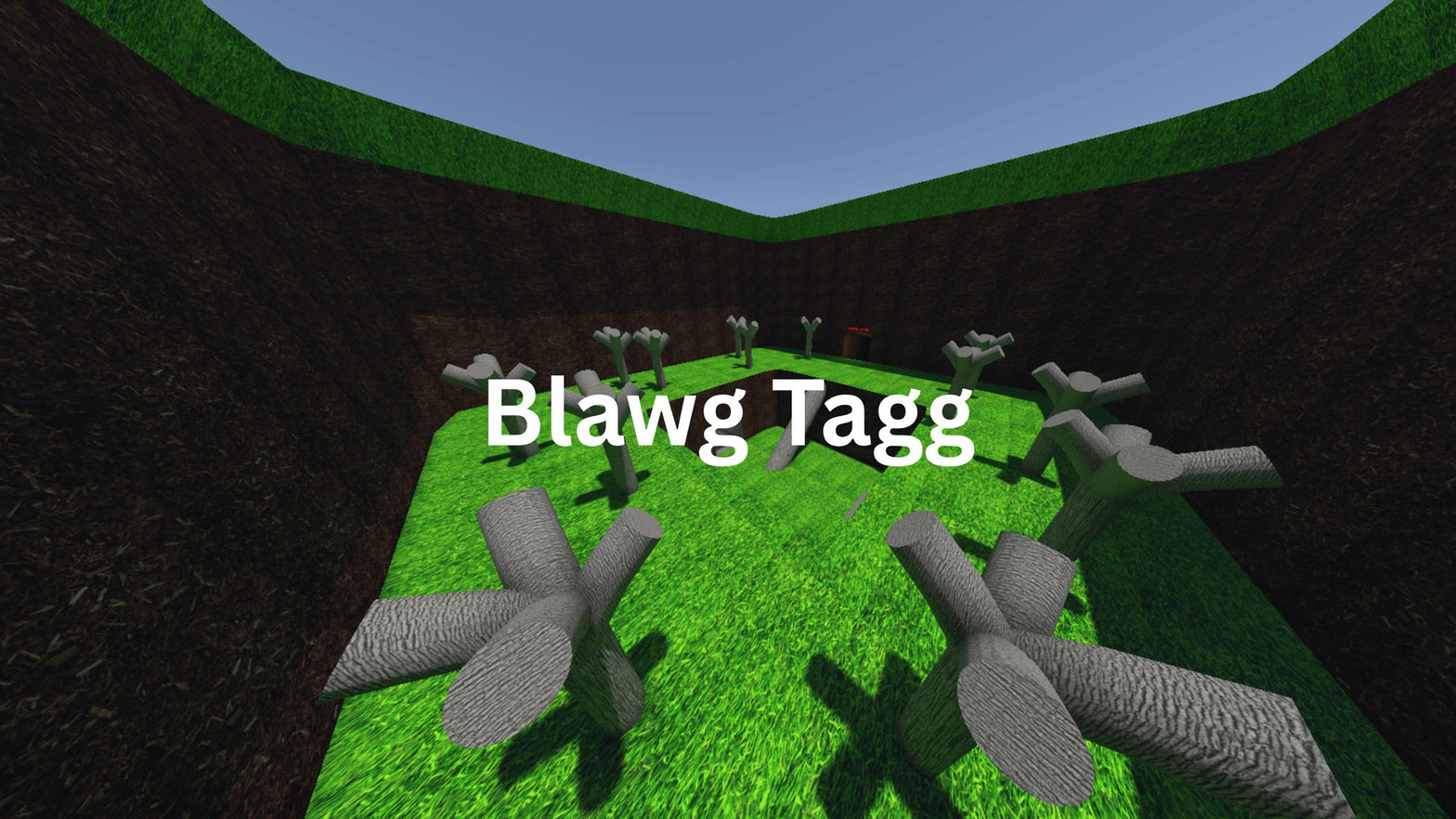 Blawg Tagg
