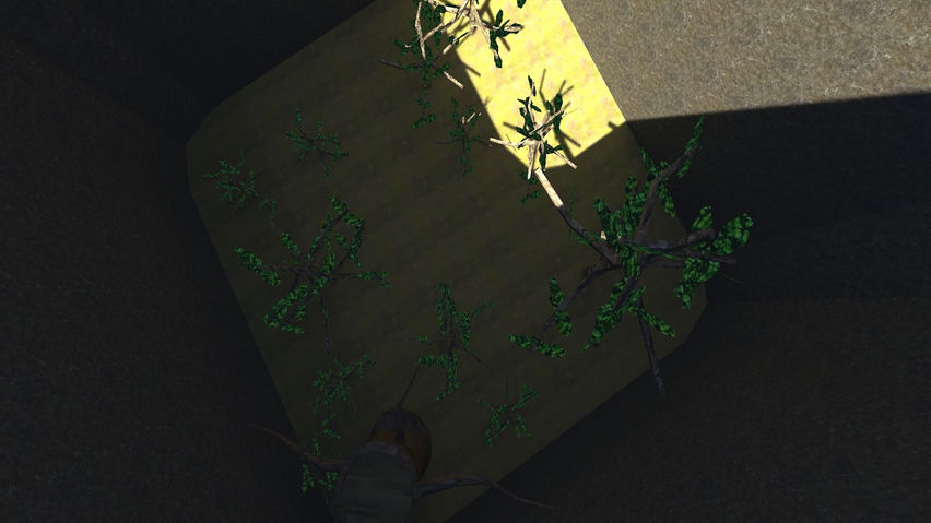 Echo Tag