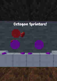 Octogon Sprinters
