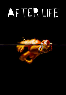 Afterlife