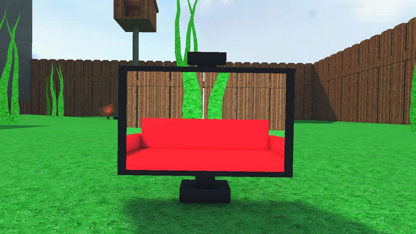 Ants Wonder