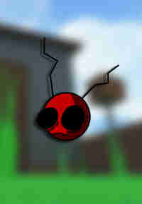 Ants Wonder