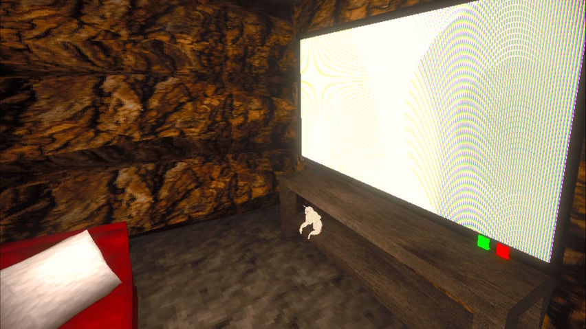 Marmoset Monkeys 2