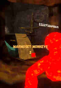 Marmoset Monkeys 2