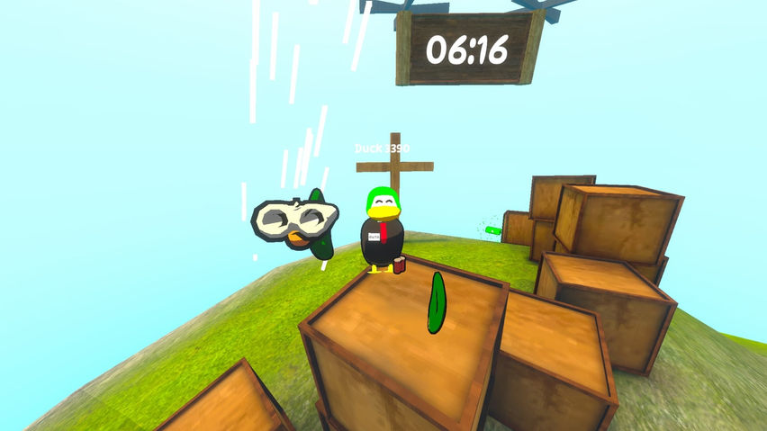 Quackdown