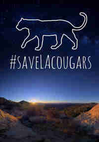 Save LA Cougars VR