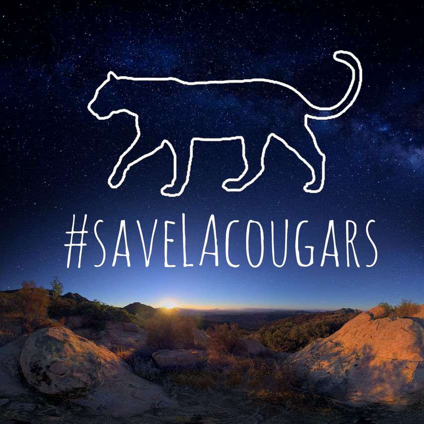 Save LA Cougars VR