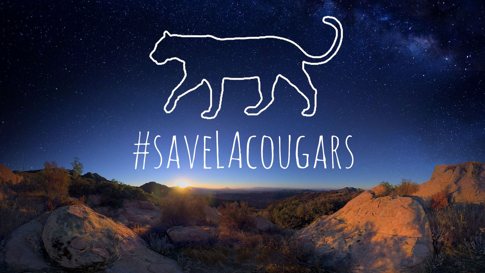 Save LA Cougars VR