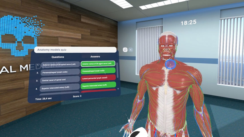 Human Anatomy VR for Institutions