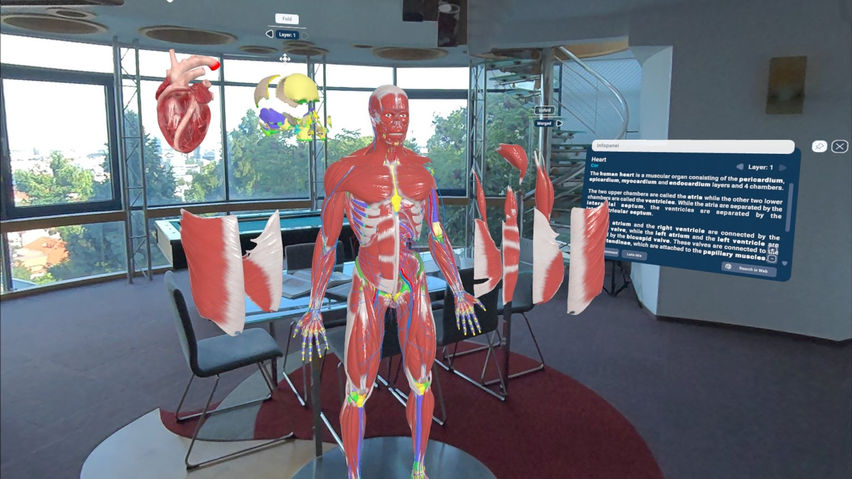 Human Anatomy VR for Institutions
