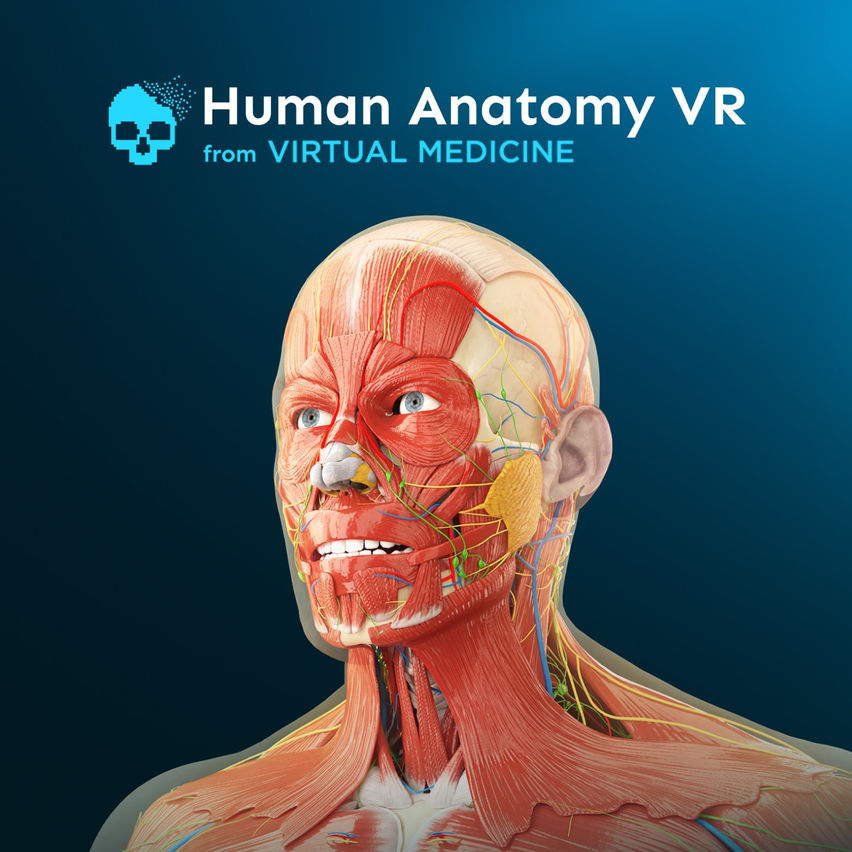 Human Anatomy VR for Institutions
