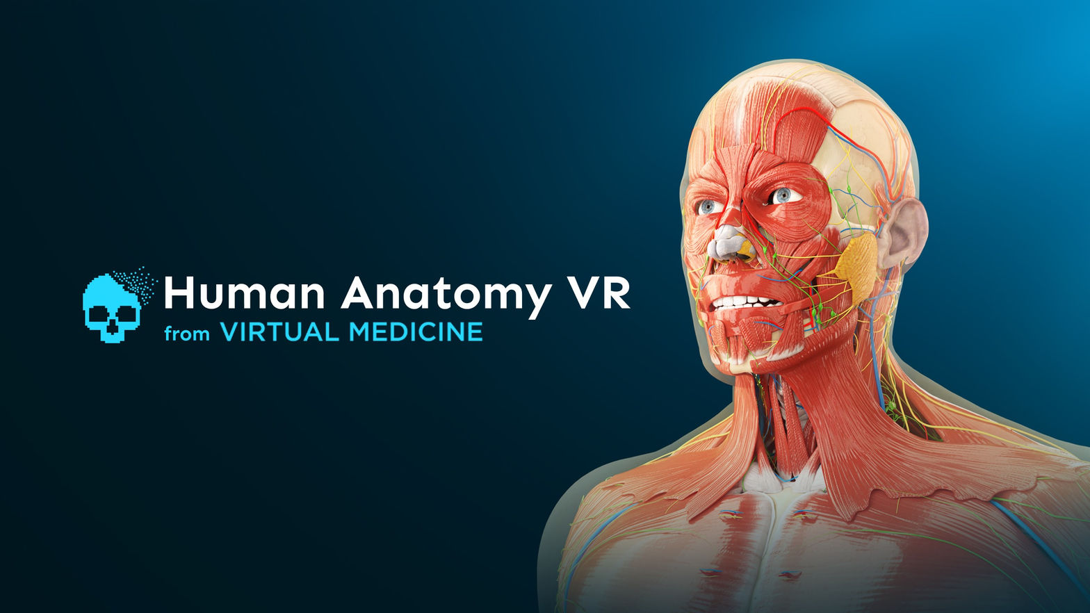 Human Anatomy VR for Institutions