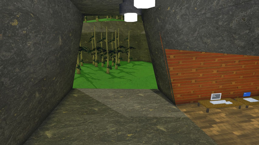 Hollow Jungle