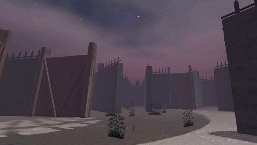Maze Tag