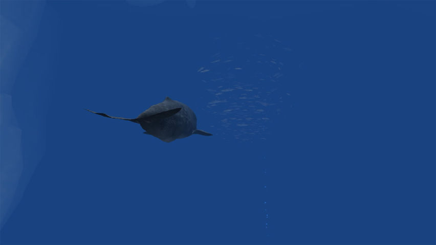 AntarcticOcean