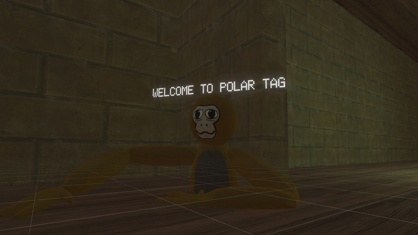 Polar Tag