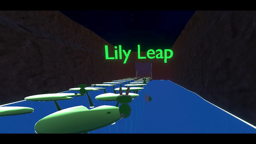 Frog Flyers