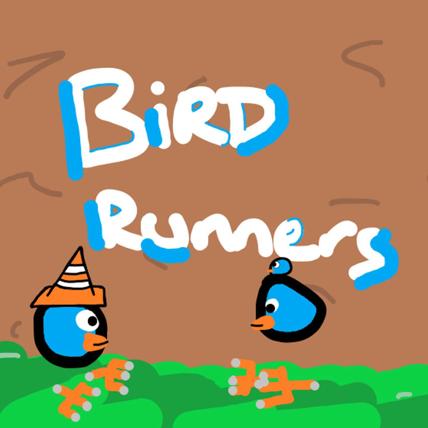 Bird Runners