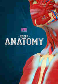 Ebers Anatomy