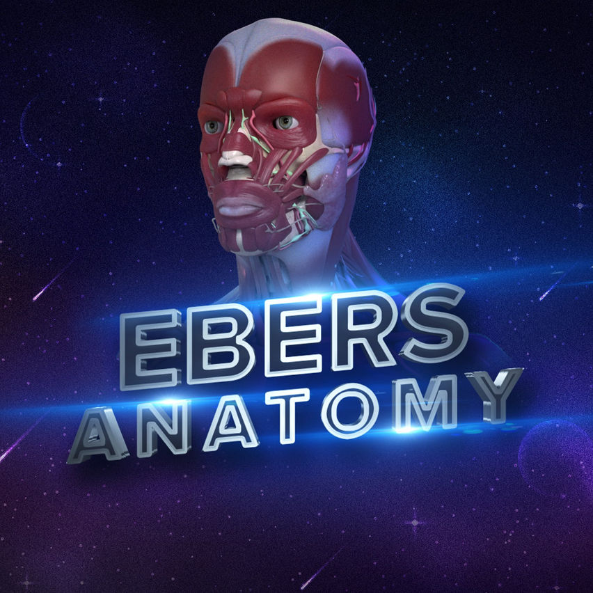 Ebers Anatomy