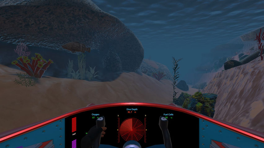 New Species Found