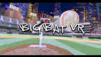 Big Bat VR