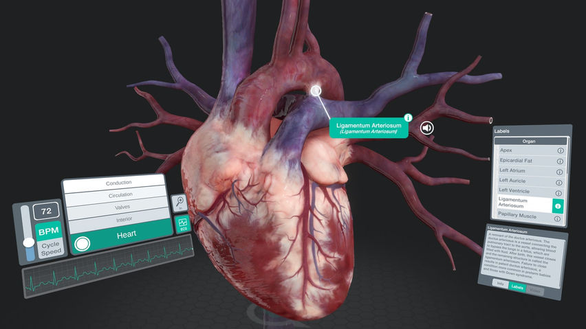 Sharecare YOU Anatomy