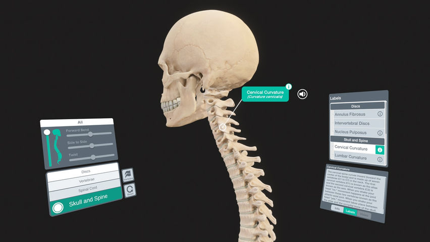 Sharecare YOU Anatomy