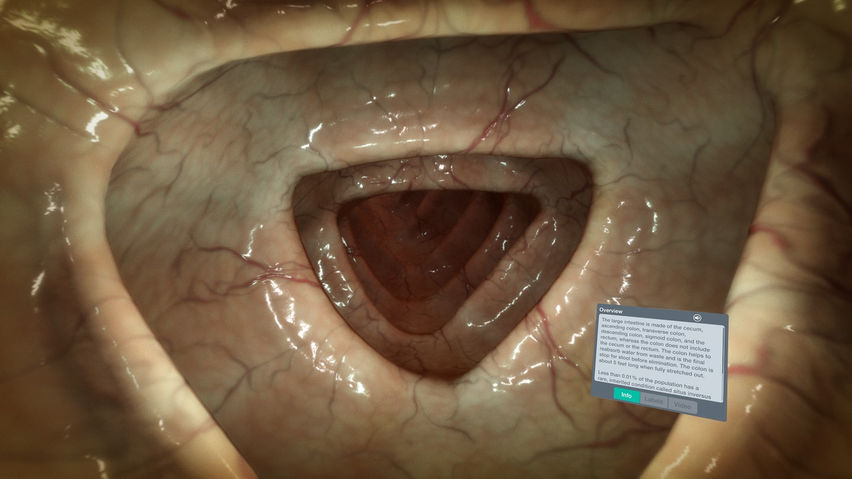 Sharecare YOU Anatomy