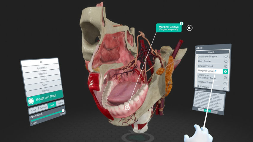 Sharecare YOU Anatomy