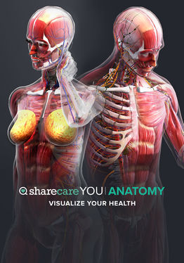 Sharecare YOU Anatomy