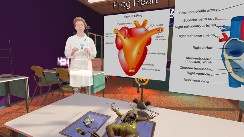 Dissection Simulator: Frog Edition