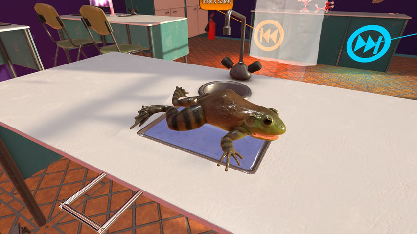 Dissection Simulator: Frog Edition